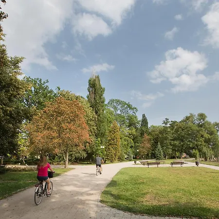 Loft Gryfita * Szczecinek