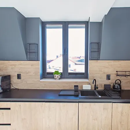 Loft Gryfita Apartment